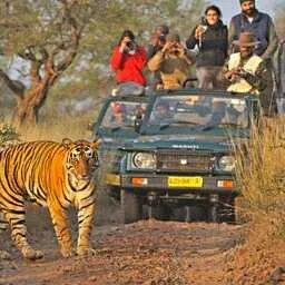 Adventure Tour Packages in Rajasthan