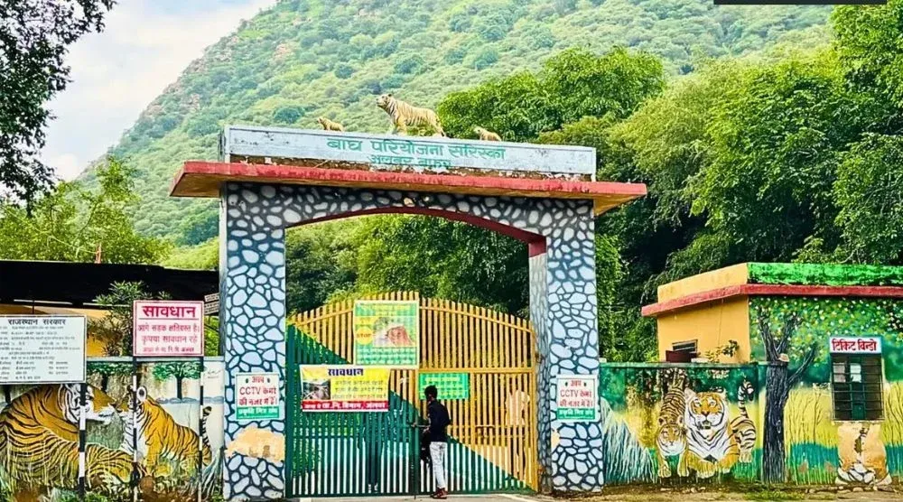 Sariska National Park Alwar Rajasthan forest and wildlife