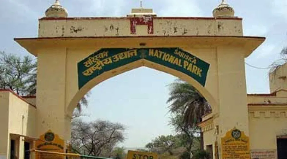 Sariska Wildlife Sanctuary Alwar Rajasthan animals and forest