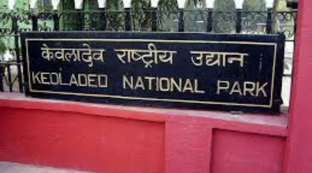 Keoladeo Bird Sanctuary Bharatpur Rajasthan