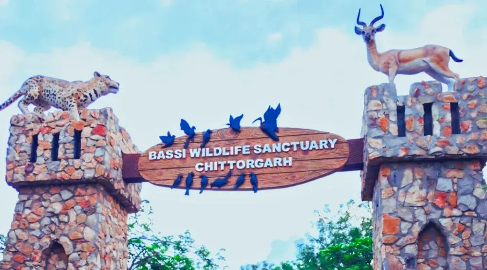 Bassi Wildlife Sanctuary Chittorgarh forest and wildlife safari