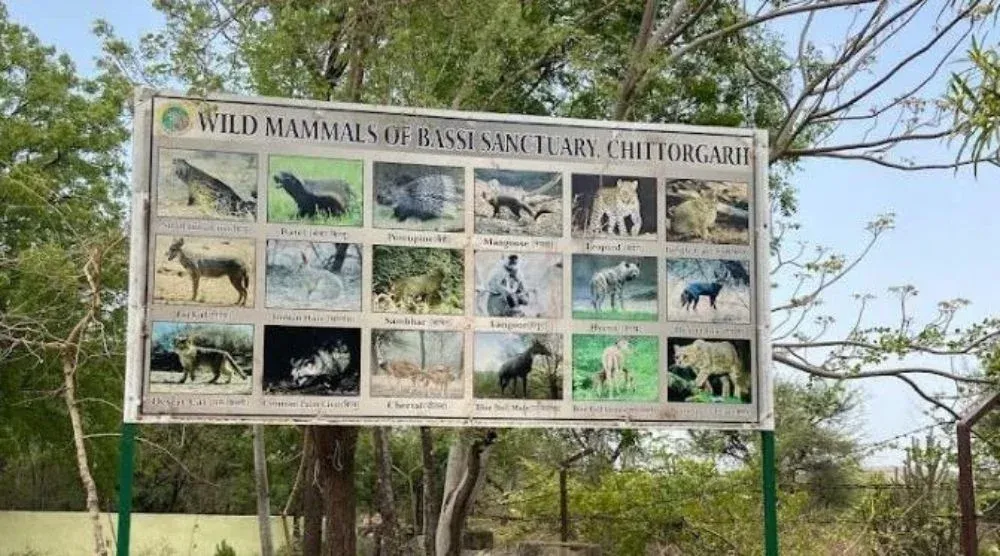 Bassi Wildlife Chittorgarh animals forest Rajasthan safari