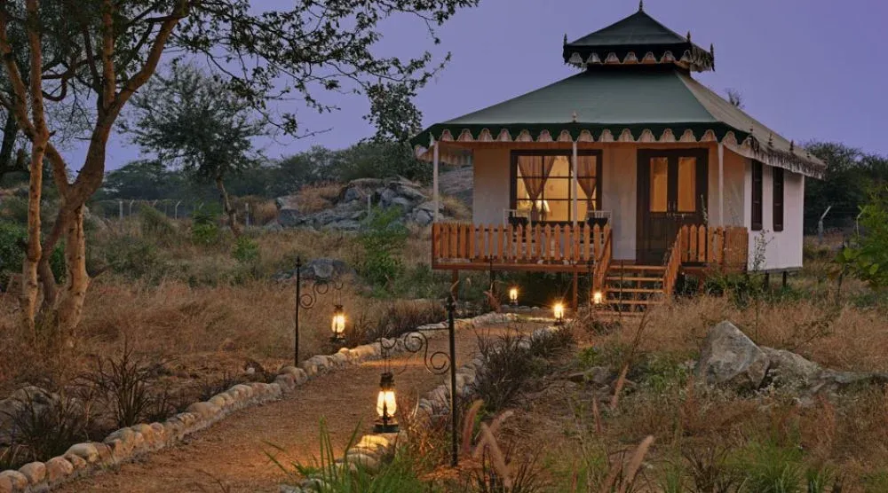Jawai safari camp stay Rajasthan
