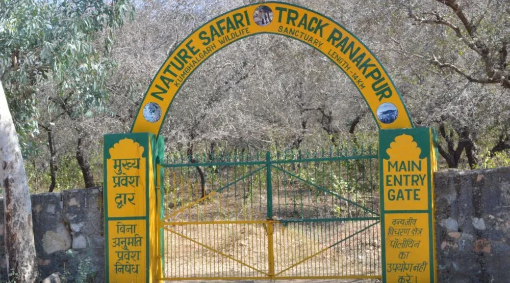 Kumbhalgarh Wildlife Sanctuary forest safari Rajasthan wildlife