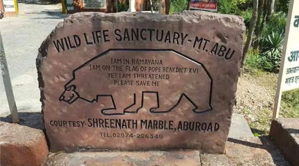 Mount Abu Wildlife Sanctuary forest and nature view Rajasthan