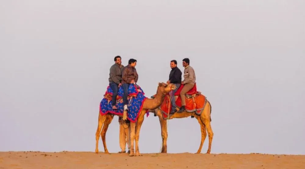 Pushkar camel ride desert experience Rajasthan