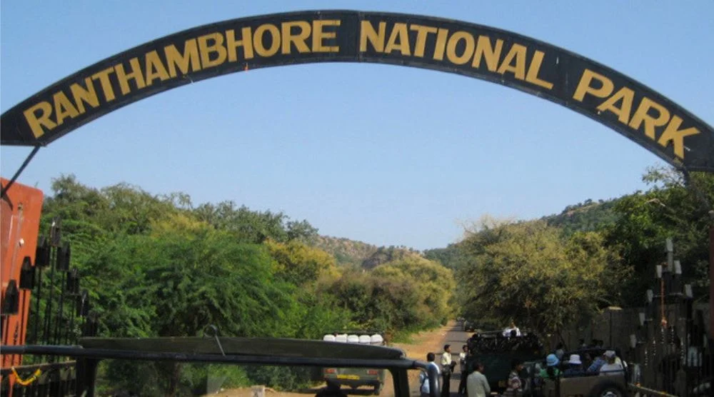 Ranthambore National Park jungle landscape Rajasthan