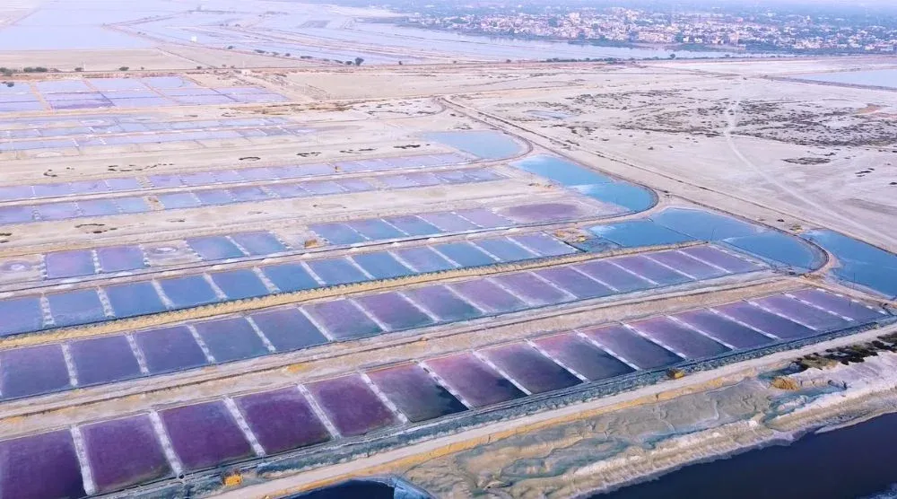Sambhar Salt Lake panoramic view Rajasthan tourism