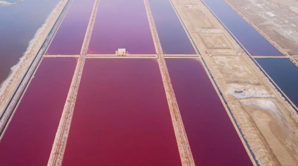Salt lake texture Sambhar Rajasthan vibrant landscape