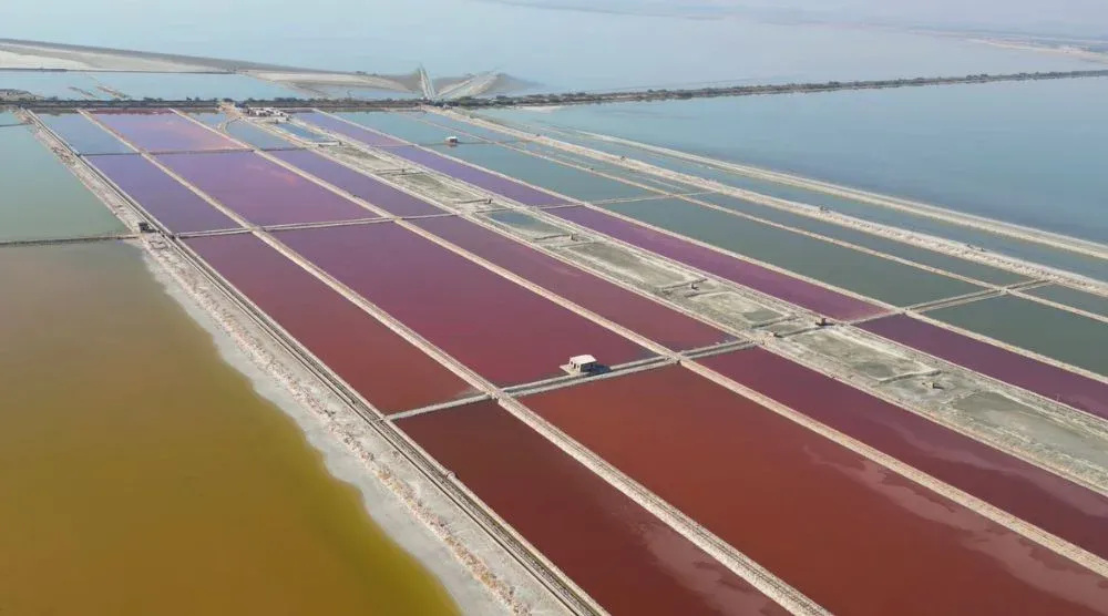 Sambhar Lake colorful salt pans Rajasthan scenic view