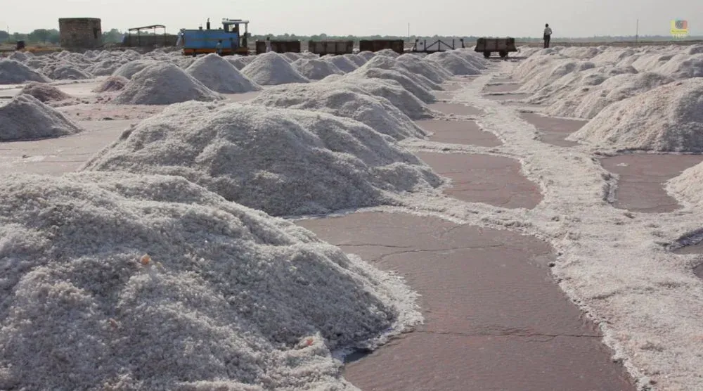 Salt making process at Sambhar Lake Rajasthan traditional industry